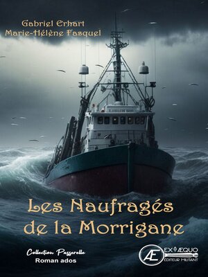 cover image of Les naufragés de la Morrigane